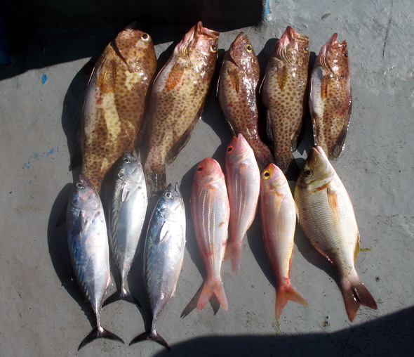 Тайланд Рыбалка